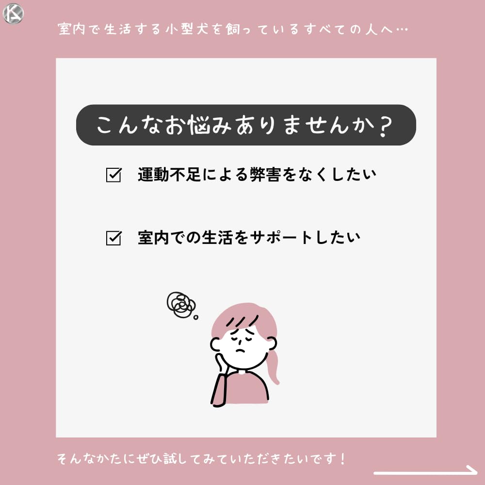 Royal Canin Cat Indoor Loaf 85g Set of 48 Wet Pouch For Long Living Relieves Lack of Prevents Constipation with Dietary Maintains Digestion Hair,