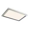 Oeny Smart LED Ceiling Light