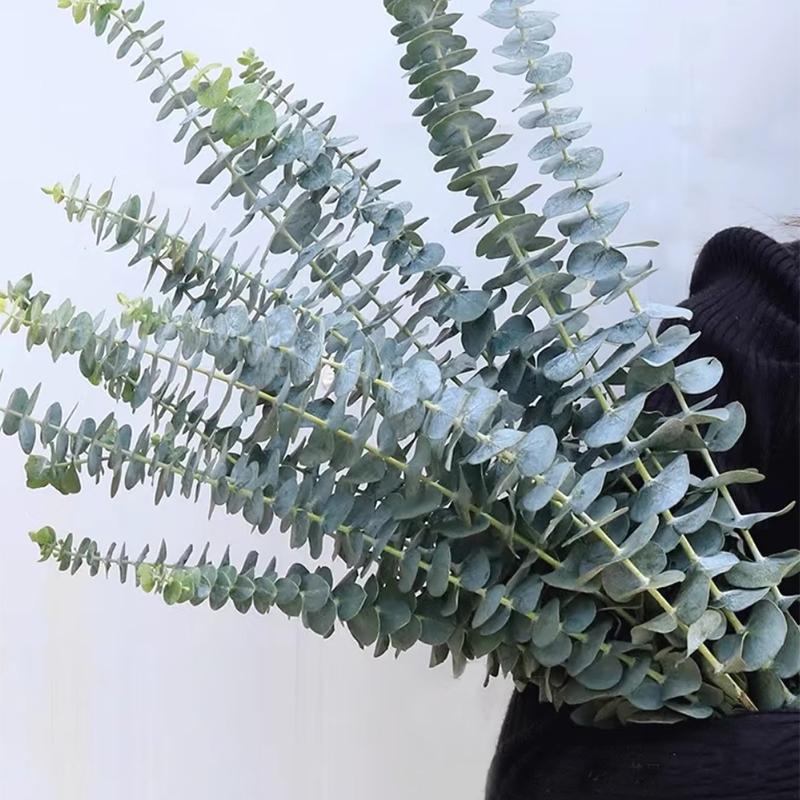 10pcs Artificial Eucalyptus Stems Leaf Home Flowers Bouquet Centerpiece Wedding Christmas Decor Fake Eucalyptus Greenery