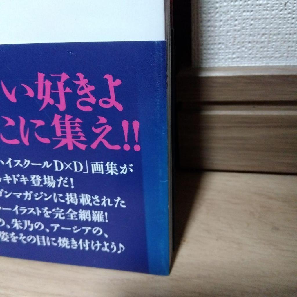 [USED] Miyama Zero Art Collection High School DxD sb3