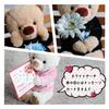 Petit Luu Thank You Bear KUU FUU 3S 18cm & (FUU Normal)