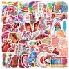 50 Unrepeated Human Organ Graffiti Stickers Mobile Phone Computer Waterproof Decorative Stickers Cartoon Organ Stickers