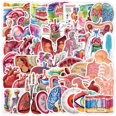 50 Unrepeated Human Organ Graffiti Stickers Mobile Phone Computer Waterproof Decorative Stickers Cartoon Organ Stickers