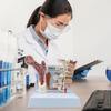 Menschliche Anatomie Osteoporose Modell Wirbel Anatomisches Skelettmodell für Medizinstudenten Lehrdemonstration