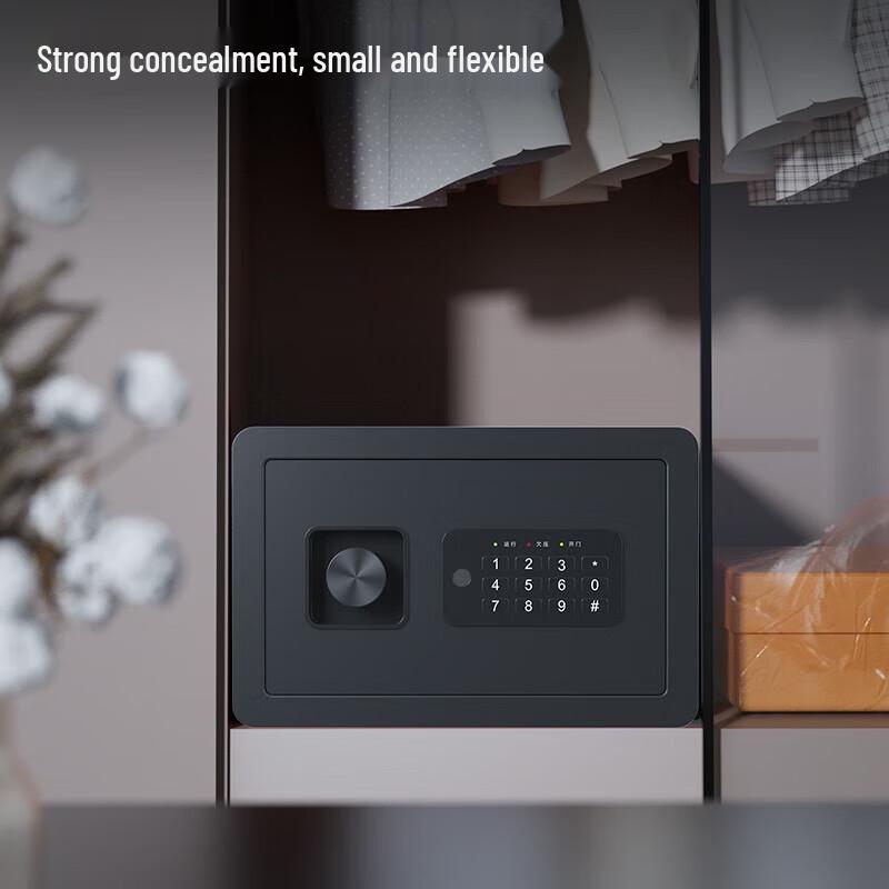 Deli AE515 Fingerprint Password Safe