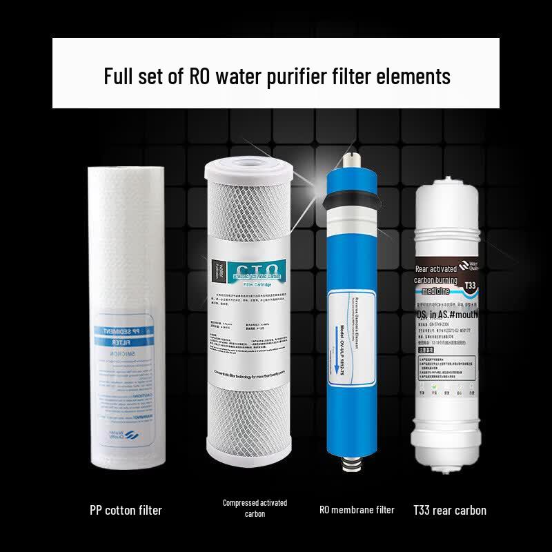 LISM 600G Under-Sink Direct Drinking Water Purifier