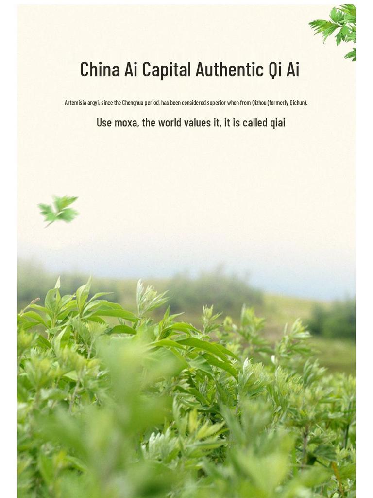 Mugwort Cotton Anti-Slip Knee Pads for Cold Protection - Unisex, Warm Knee Sleeves for Elderly