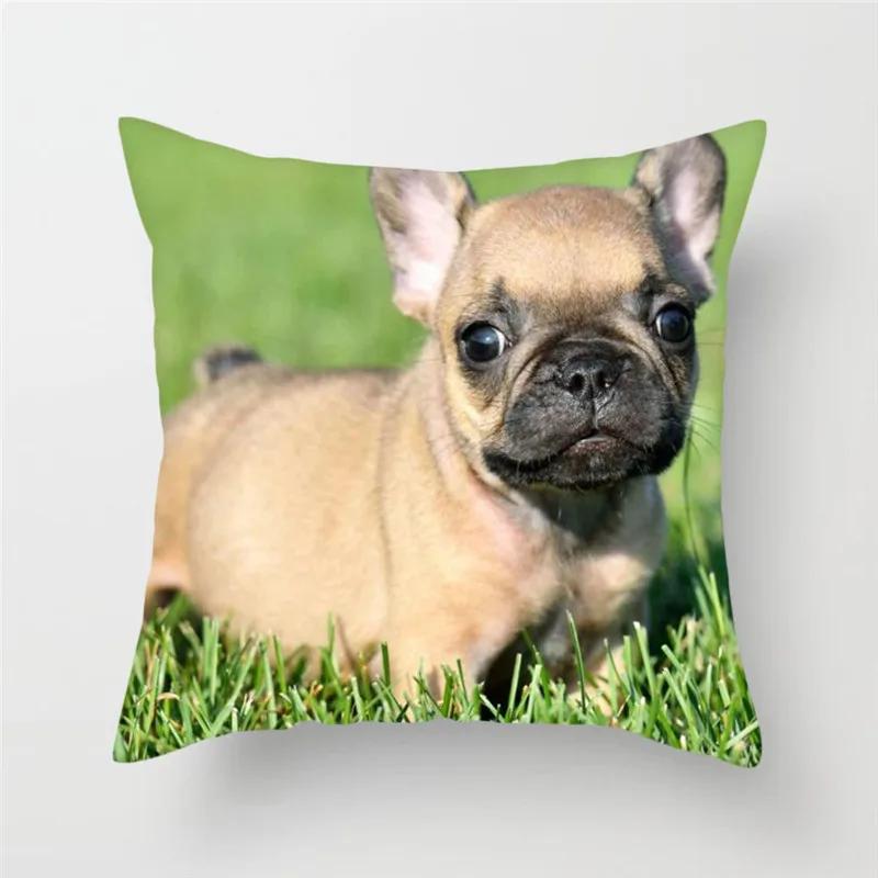 French Bulldog Polyester Cushion Cover Animal Dog Printed Pillow Cover For Sofa Home Living Room Decorative Pillowcase 45X45Cm