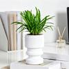 Self Watering Flowerpot with Transparent Bottle and Water Level Indicator for Indoor Plants Self-Absorbing Planter with Double-Layer Ventilation