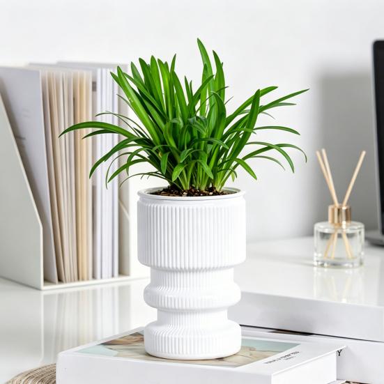 Self Watering Flowerpot with Transparent Bottle and Water Level Indicator for Indoor Plants Self-Absorbing Planter with Double-Layer Ventilation
