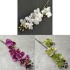 Artificial 3d Printed Butterfly Orchid With Realistic Texture For Wedding Decor And Home Use