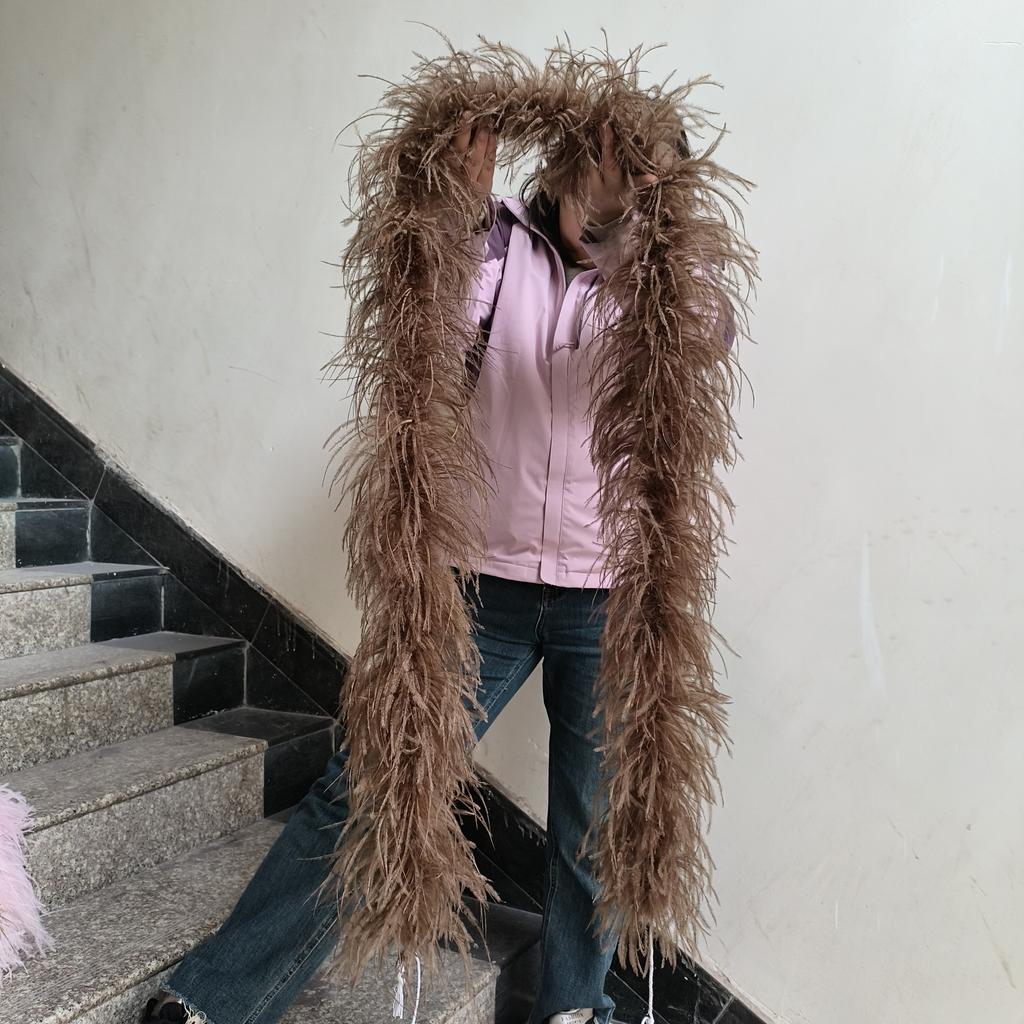 DIY 1 3 6 10 20Ply Natural Ostrich Feathers Boa 2 Meter Fluffy Ostrich feather Shawl for Wedding Party Dress Sewing Decoration Scarf