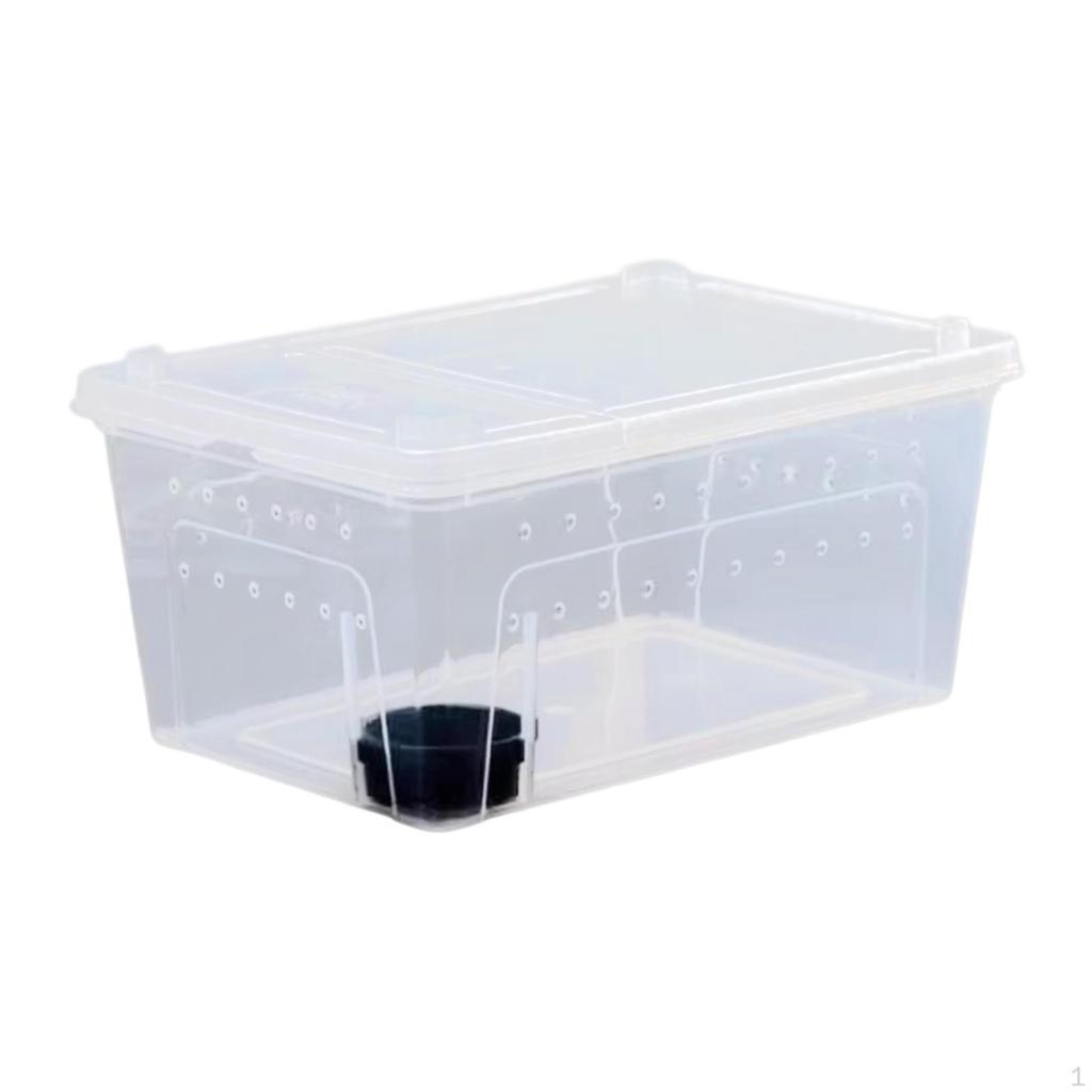 Reptile Breeding Box As A Small Animal Habitat And Container. This Terrarium The