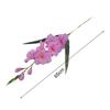 Gladiolus Blooms for Decor
