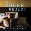A Queer Object by Tue Elkjaer Paperback Book 9781800744097