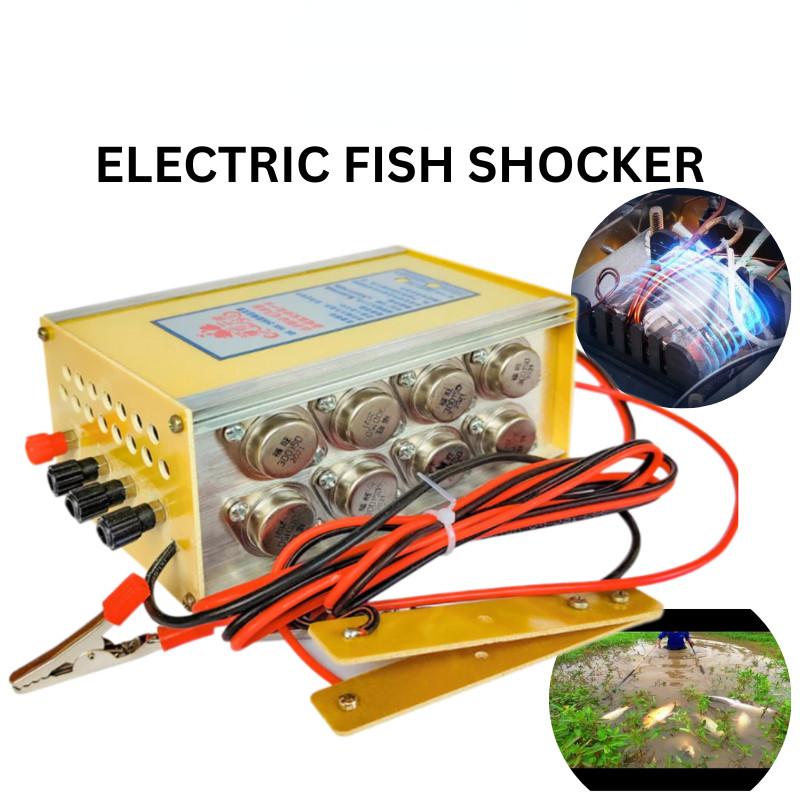 Household 12V Battery Booster Portable Electric Fish Shocker Low Frequency High Power Inverter