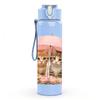 1PC Two Kittens Under Pink Umbrella 750ml Color Plastic Sports Water Bottle Leakproof Flip Straw Lid For Sports Office Home Use