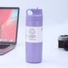 550ml Suction Nozzle Japanese Element Cup 304 Stainless Steel Vacuum Insulated Bottle Portable Straw Coffee Cup