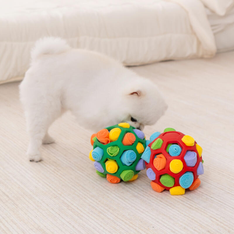 Dog Toy Nosework TPR Material Soccer Ball (Green) Dog Toy Soccer Ball LPT-NW01