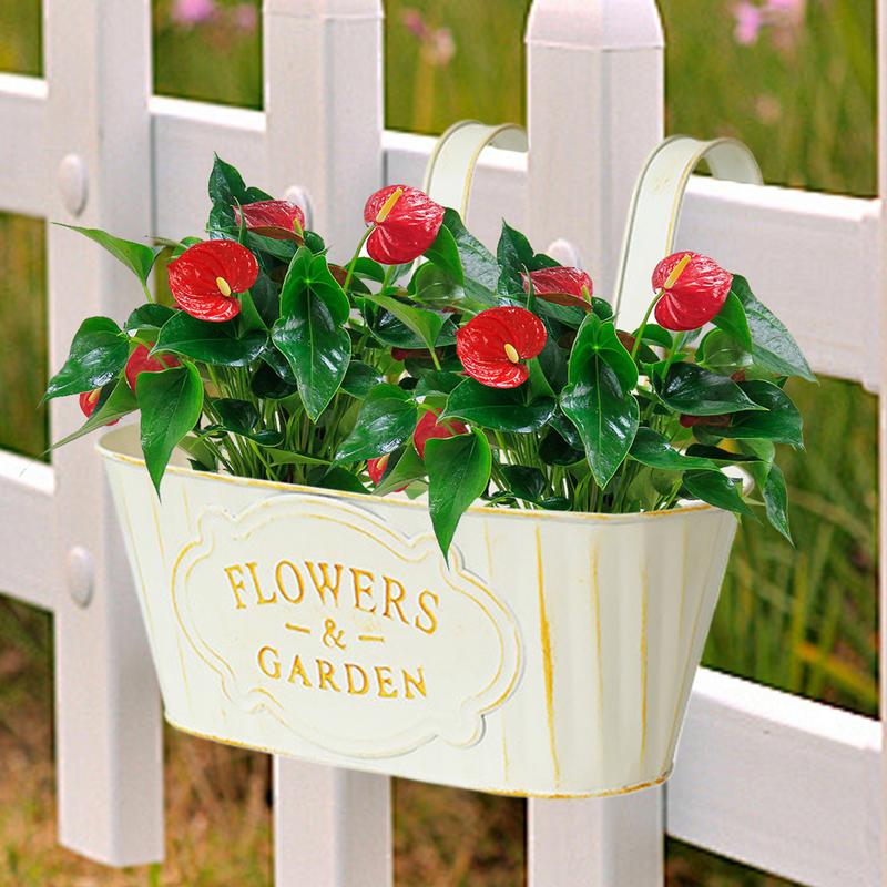 Metal Iron Hanging Flower Pots Wall Mounted Window Box Outdoor Plants Planter Railing Planter Oval Hanging Pot for Fence Garden