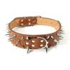 Spiked Studded Dog Collar with Large Sharp Spikes 2 Inch Wide Protect Dog's Neck from Bites Fit Pitbull Doberman German Shepherd
