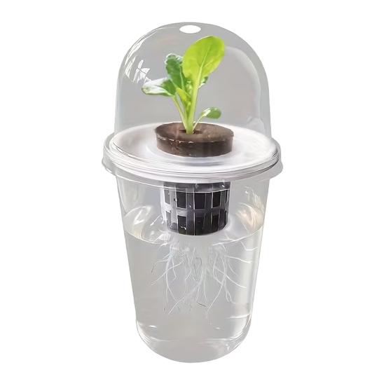 1/2/3/5/6/8/10Pcs Hydroponic Plants Growing Cup with Dome Transparent Plants Germination Pot Gardening Nursery Plants Starting Container