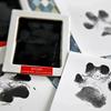 Non-Toxic Cat Dog Paw Print Ink Kit - Safe Inkless Easy DIY Paw Print Pad for Clean Touch Pet Souvenir, No Mess Perfect Keepsake