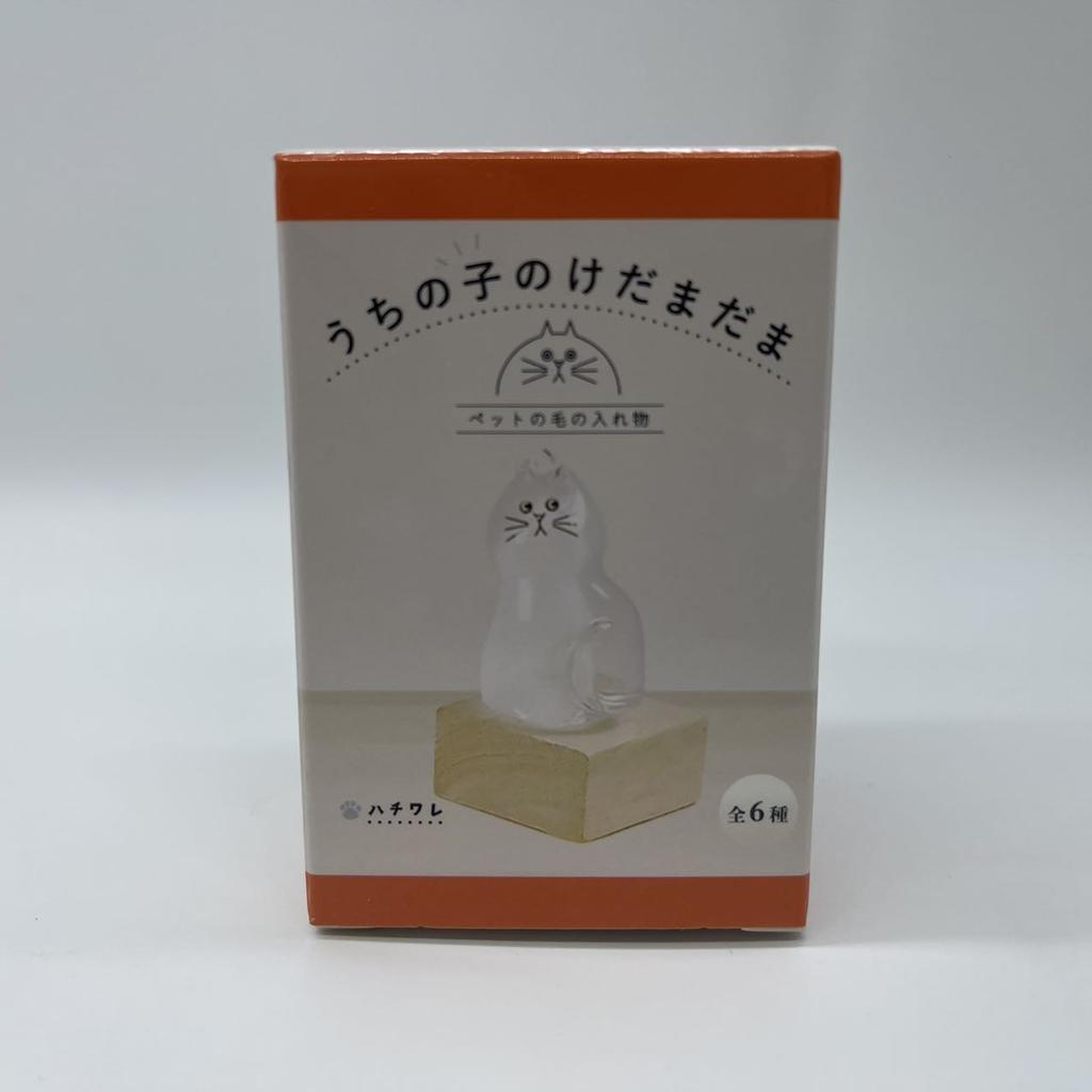 New In Stock Transparent Cat Hair Storage Box Hanging Decoration Blind Box Cat Hair Storage Capsule Desktop Decor Holiday Gifts