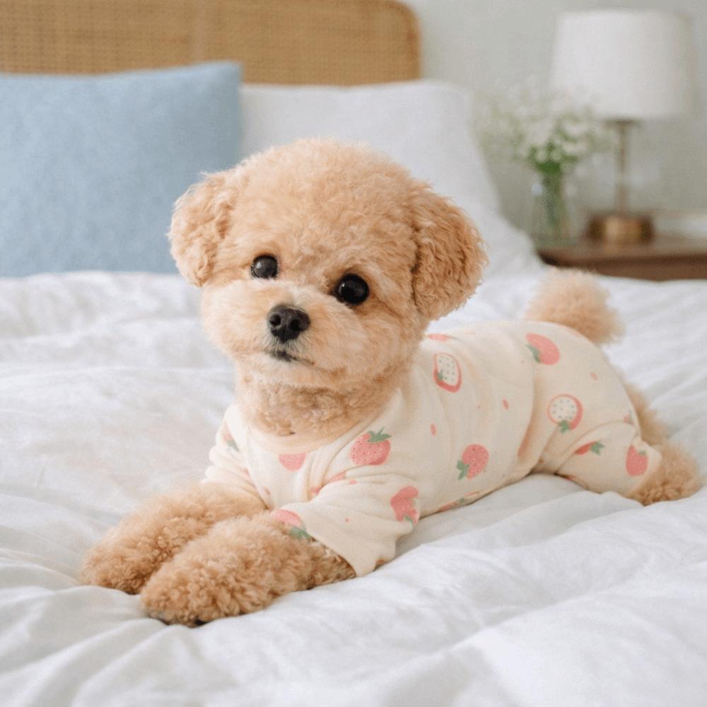 Cartoon Printed Four-Legged Dog Pajamas Warm Dog Jumpsuit Dog Home Clothing  Casual Wear