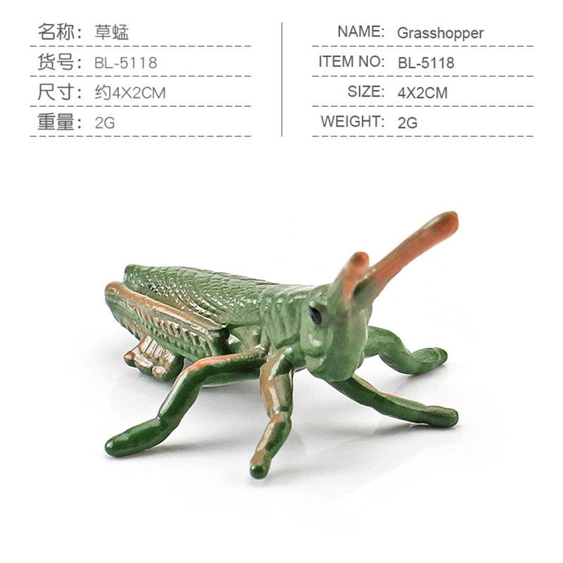 

Simulation Of Natural Insects, Animal Models, Monochromes, Ladybugs, Butterflies, Tarantulas, Spade Bugs, Ornament Toys