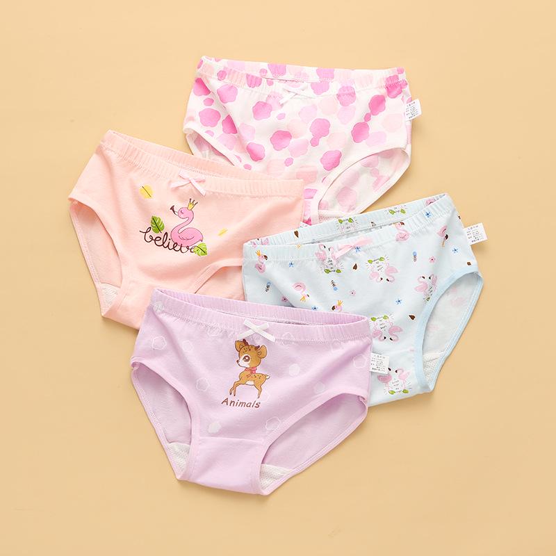 Girls' Fine Cotton Underwear, Sizes 2-12, Assorted Briefs and Shorts