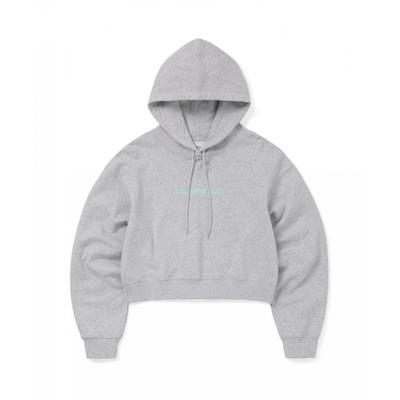 T Logo W Hoodie heaTher Grey