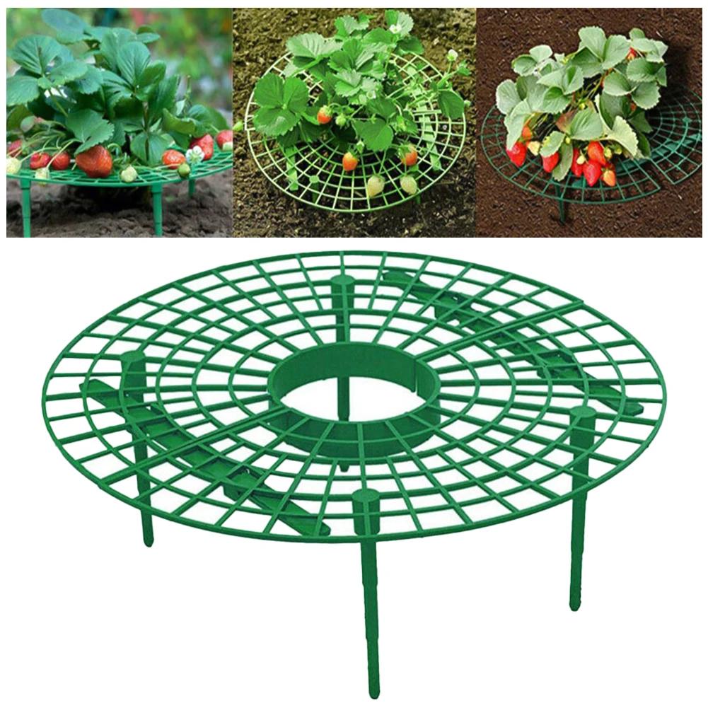Strawberry Supports Keeping Plant Fruit Stand Vegetable Growing Rack Garden Tools for Protecting Vines Avoid Ground Gardening