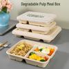 ZISIZ Disposable Meal Box