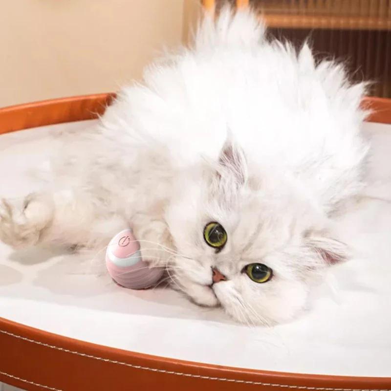 Katzen Katzenspielzeug und Ballprodukte zur Linderung von Langeweile Gravitationsrollend Wiederaufladbar Bisszubehör Resistent Intelligent Zuhause