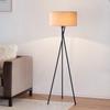 Nu Feng Black 12W Warm Light Corner Floor Lamp