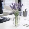 Geometric Acrylic Vase Modern Flower Container Minimalist Hydroponic Planter  Tabletop Decoration