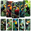 Tropical Toucan Phone Case For Samsung Galaxy A52 A32 A22 A12 A02S A50S A30S A51 A31 AA71 Note 20 Ultra 10 S10 Plus Galaxy A52 A