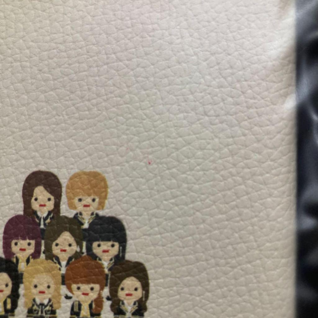 [USED] TWICE CHARACTER PASSPORT WALLET