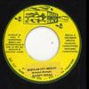 7inch Record BARRY ISSAC - Babylon City Medley / Warrior Charg MBX124 Room In The Sky 2024 UK Reggae, Ska & Dub