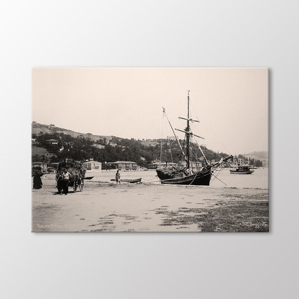 

Болезнь, 1880 Живопись