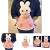 Cute Princess Rabbit Bouquet Plush Toy For Valentine's Day And Qixi Festival