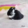 Simulazione Pulcino Coniglio Peluche Giocattolo Bambini Cognizione Pollo Modello Figurina Realistico Animale Peloso Bambola Pollo Regalo di Pasqua