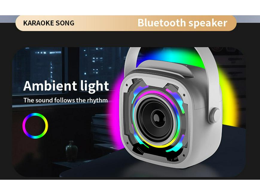 V11 Kabelloser Bluetooth Karaoke-Lautsprecher: Tragbarer, Outdoor-, Schreibtischtauglicher Subwoofer mit Mikrofon