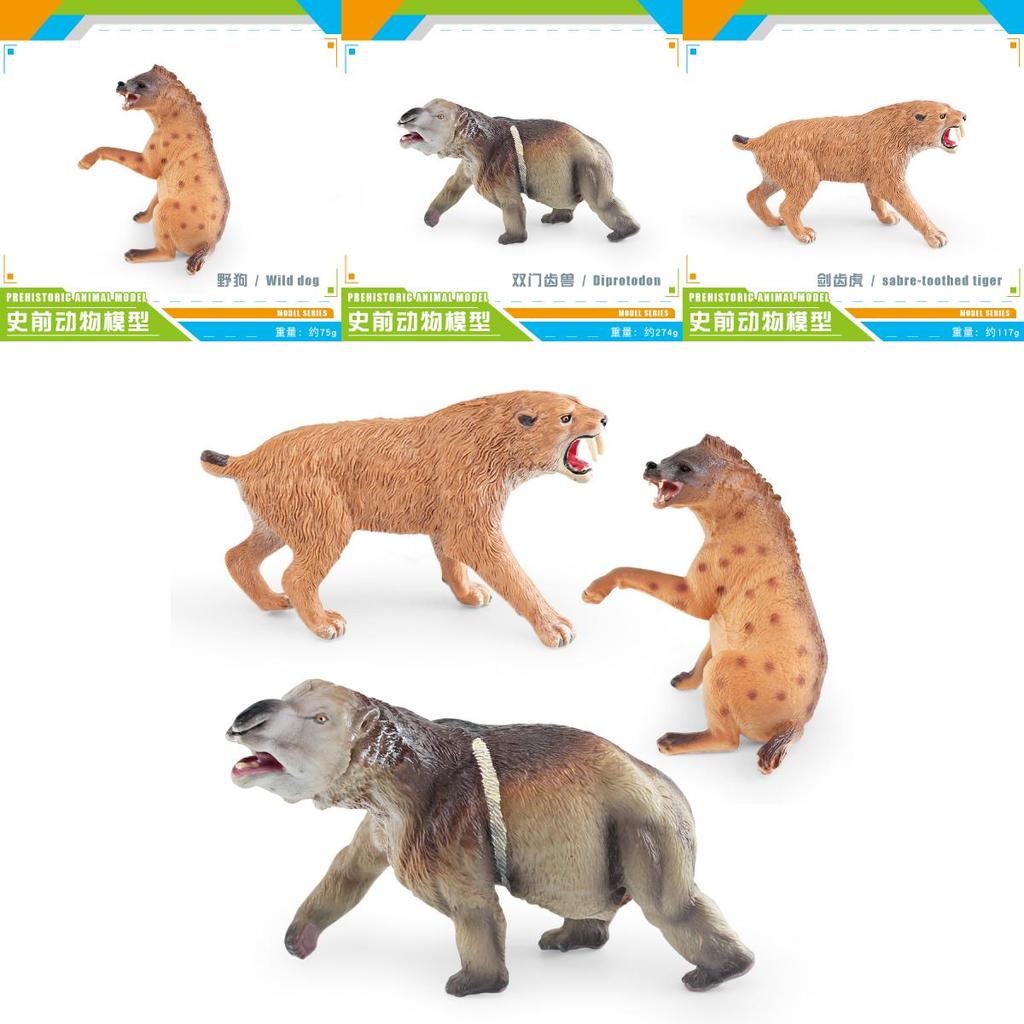 Childrens Prehistoric Toxodon Wild Dogs Machairodus Static Models With Pvc For Classroom And Playroom Decor