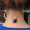 10 Sheet of Tattoo Sticker Spider Removable Waterproof Body Art Temporary Tattoo Sticker Decal