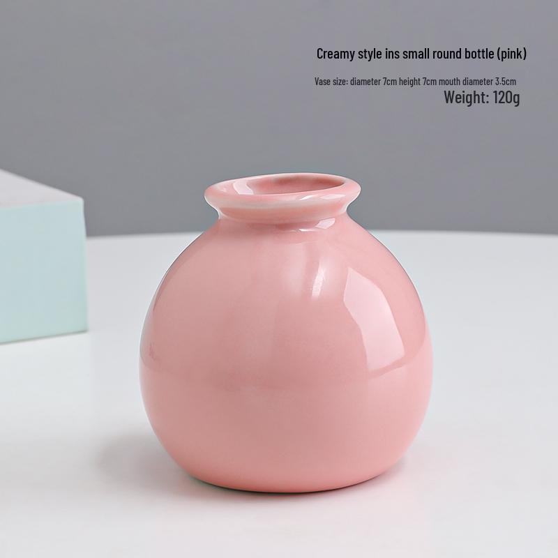 Small Ceramic Desktop Hydroponic Vase for Pothos - Simple Decorative Ornament for Office