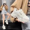 Hong Kong Style Shows Feet, Small Platform Dad Shoes, Spring and Autumn Fried Street Super Fire New Casual Sports Shoes