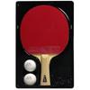 Double Fish 9-Star Professional Table Tennis Racket