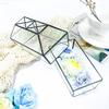 Geometric Glass Greenhouse: Preserved Flower & Moss Succulent Display for Home & Restaurant Decor